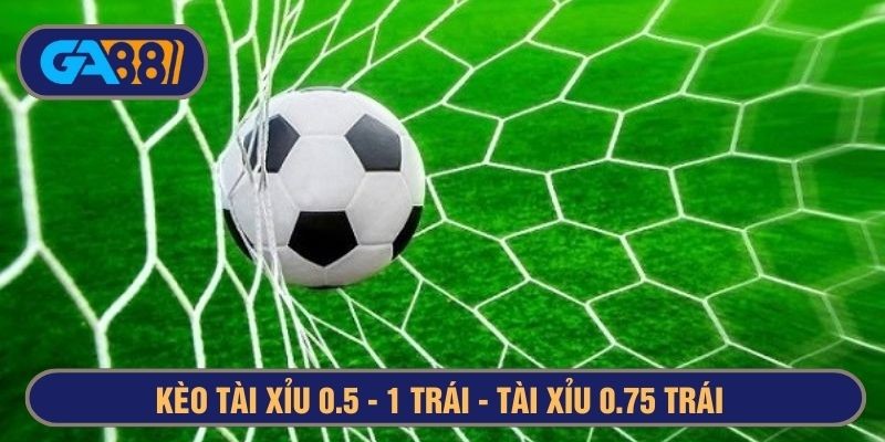 3BET Kèo tài xỉu 0.5-1 trái là gì? Tài xỉu 3/4 và tài xỉu 0.75 là sao?